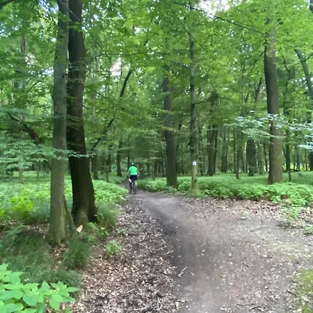 Rosemary Appartement *