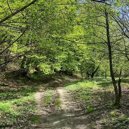 Rosemary * Братислава