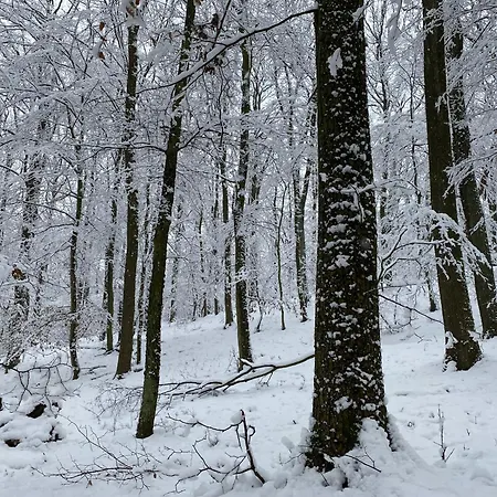 Rosemary Appartement *