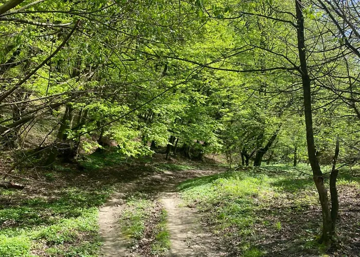 Rosemary * Bratislava