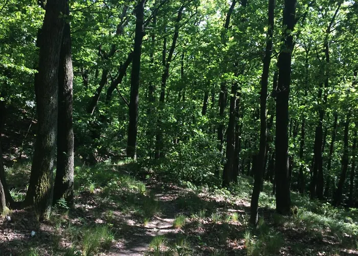 Rosemary Appartement