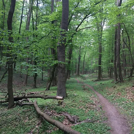 Rosemary Lägenhet *