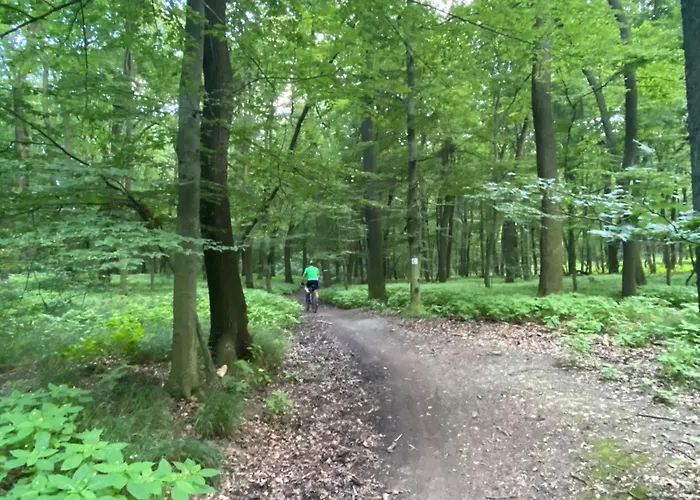 Rosemary Apartment *