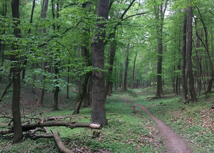 Rosemary Apartment *