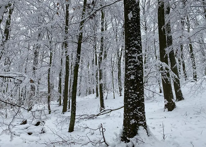 Rosemary Apartment *